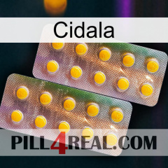 Cidala new10